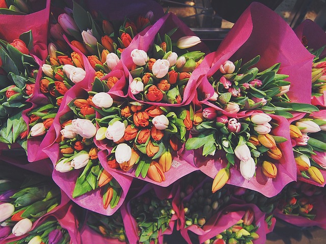 kytice tulipánů